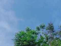 -三岔湖景区