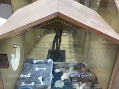 -屋虎猫馆(宝安大仟里店)