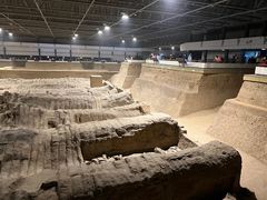 -秦始皇帝陵博物院(兵马俑)