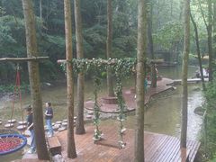 -牛背梁国家森林公园