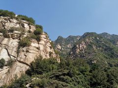 -王顺山国家森林公园