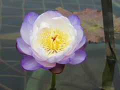 -上海植物园-4号门售票处