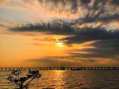 -宝安西湾红树林湿地公园