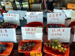 -马陆小张葡萄园农家乐