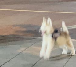 -Oasis Beauty水磨坊科技美肤中心