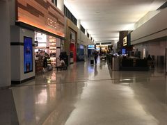 -纽瓦克自由国际机场