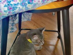 -长颈鹿咖啡(大学路店)