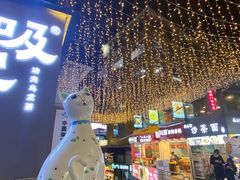 -猫咪博物馆(顶澳仔猫街店)