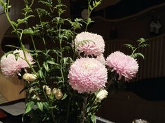 -“香”全日餐厅·株洲大汉希尔顿酒店