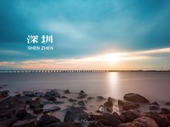 -宝安西湾红树林湿地公园