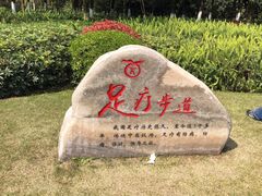 -重庆彩云湖湿地公园