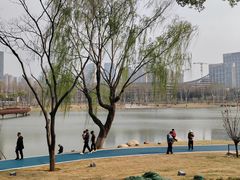 -后襄河公园
