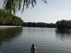-后海公园