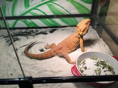 -藦茜花园宠物主题亲子互动体验馆(国顺东路店)