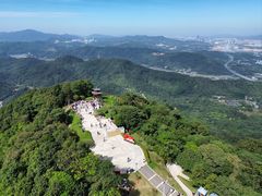 -黄埔油麻山森林公园