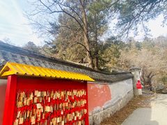 -阳台山自然风景区