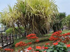 -中国科学院西双版纳热带植物园