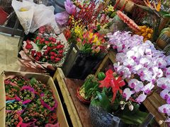 -沪花拾者(好再来花卉鲜花店)