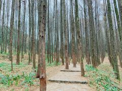 -山王坪喀斯特国家生态公园