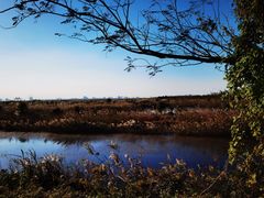 -南汇嘴观海公园