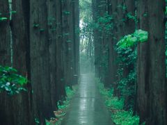 -同里国家湿地公园