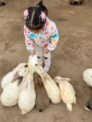 -前小桔亲子创意农场·草莓采摘·露营烧烤