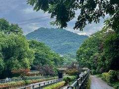 -八卦田遗址公园