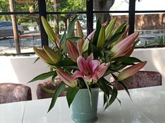 -NOTOOCAFE不二咖啡馆(岩前店)