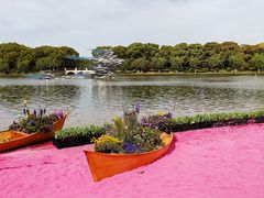 -上海鲜花港