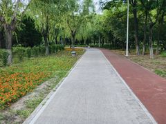 -绿堤公园