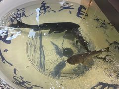 -南京金牛湖巨碗鱼头