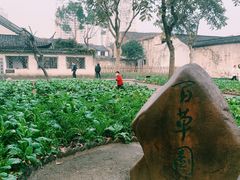 -绍兴鲁迅故里·沈园景区