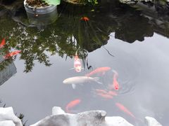 -道南書院·私房菜·早午茶·茶馆