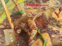 -石灰市毛记烧鸡公(解放碑店)