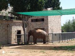 -石家庄市动物园