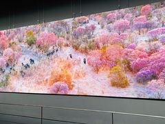 -罗红摄影艺术馆