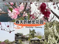 -无锡蠡湖国家湿地公园-蠡园