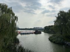 -大兴滨河森林公园