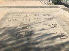 -大兴滨河森林公园