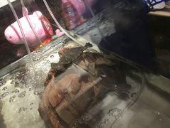 -元氏钵仔糕(北京路店)