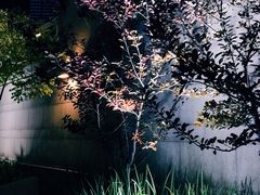 -世纪钟