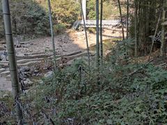 -水墨汀溪风景区