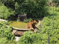 -无锡动物园·太湖欢乐园