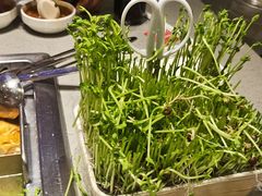 鲜活豌豆苗-海底捞火锅(城阳万象汇店)