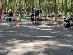 -长白岛森林公园