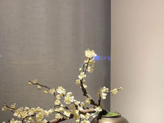 -梅花境(万科店)