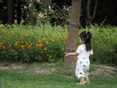 -前小桔亲子创意农场·草莓采摘·露营烧烤