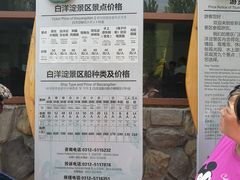 -白洋淀景区