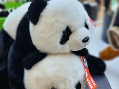 -秦皇岛野生动物园