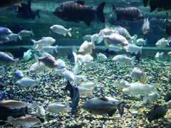 -成都浩海立方海洋公园